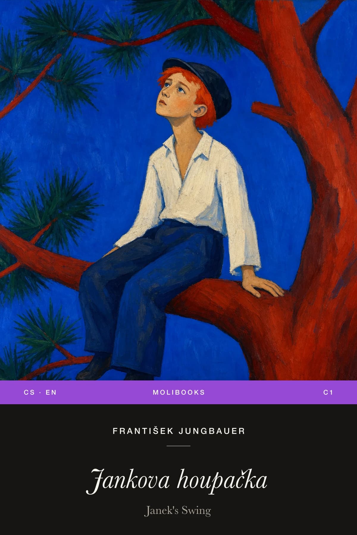 Cover of Jankova houpačka